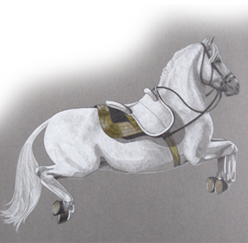 lippizan