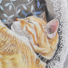 orangecat